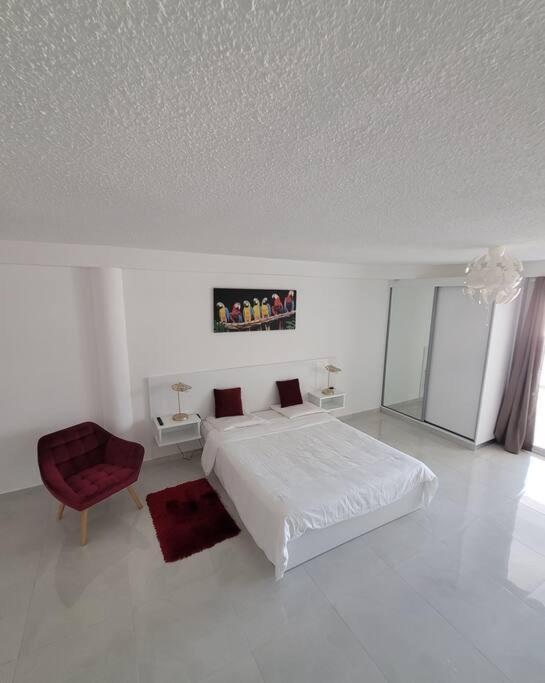 Hello Guyane, Suite Collection 卡宴 外观 照片