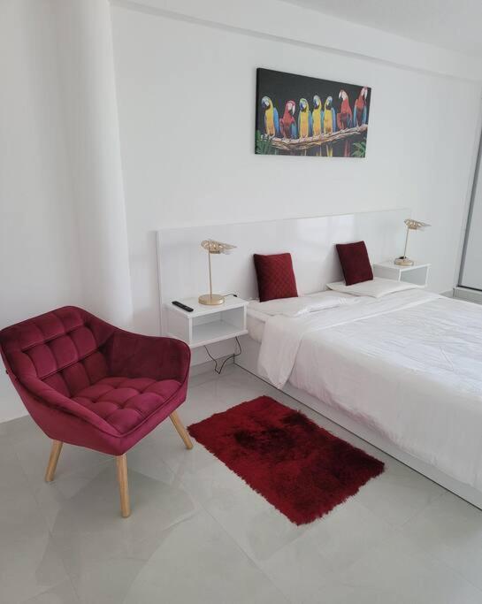 Hello Guyane, Suite Collection 卡宴 外观 照片