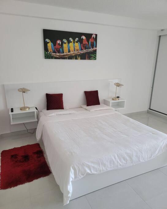 Hello Guyane, Suite Collection 卡宴 外观 照片